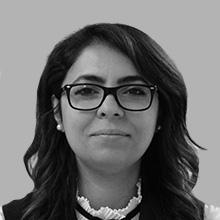 Dr. Öğr. Üyesi Şebnem ÖZDEMİR